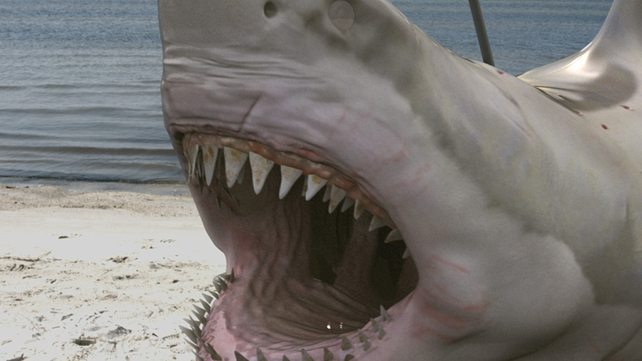 2015 Zombie Shark